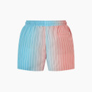 Men's All Over Print Swim Shorts – Berry Mist/Teal