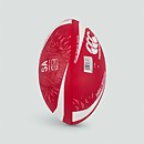 BRITISH & IRISH LIONS THRILLSEEKER SUPPORTER MINI BALL