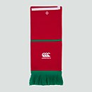 ADULTS BRITISH & IRISH LIONS SCARF