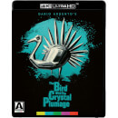The Bird With The Crystal Plumage - 4K Ultra HD