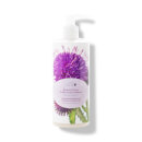 Burdock & Neem Healthy Scalp Conditioner 13oz