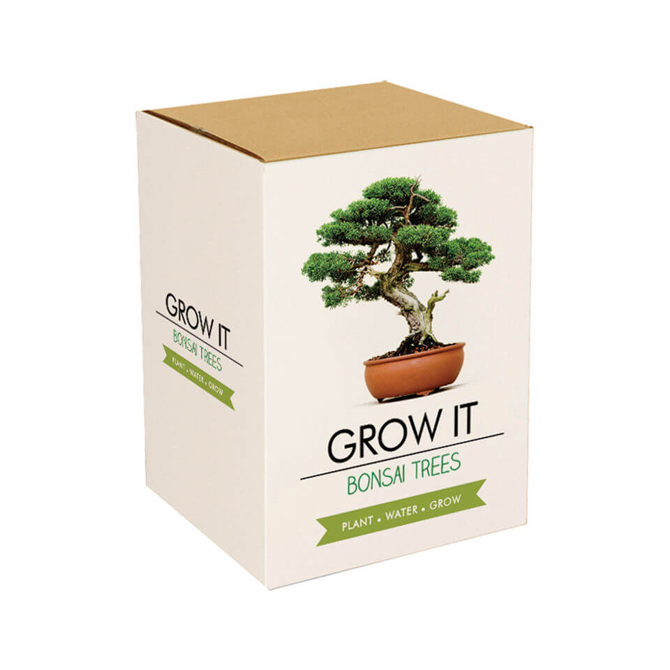 Grow It Bonsai Tree Iwoot Uk