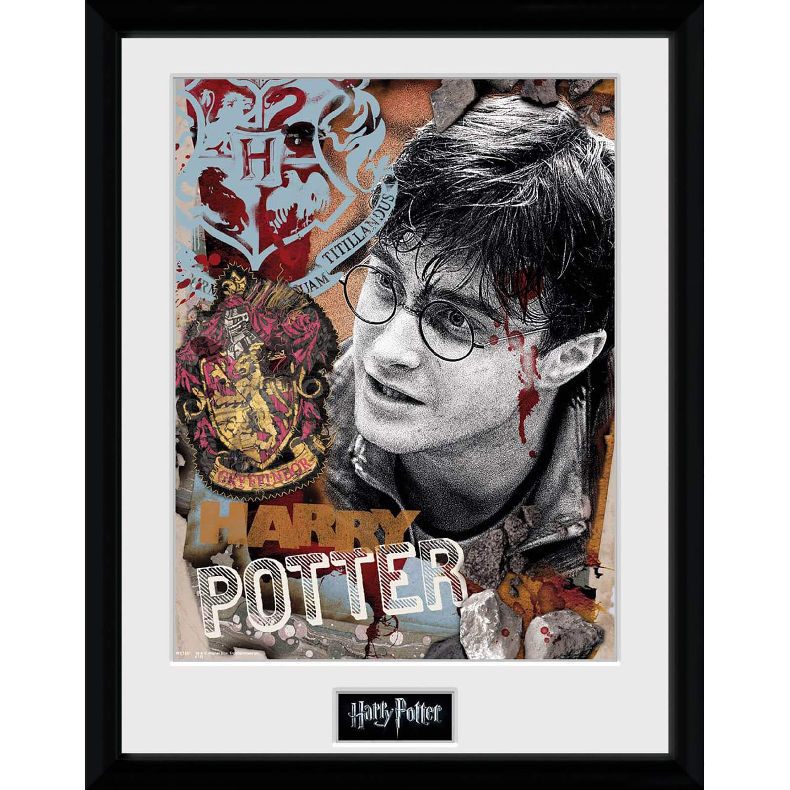 Harry Potter Harry Potter 30x40 Collector Prints Iwoot Uk