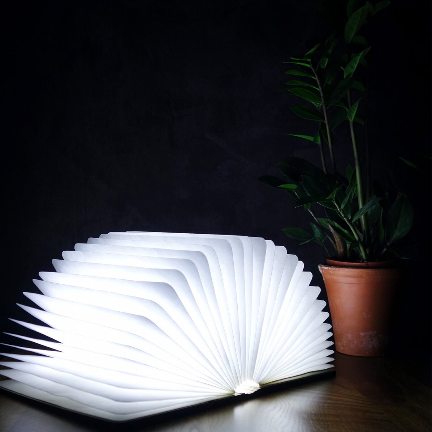 GINGKO MINI LED SMART BOOK LIGHT