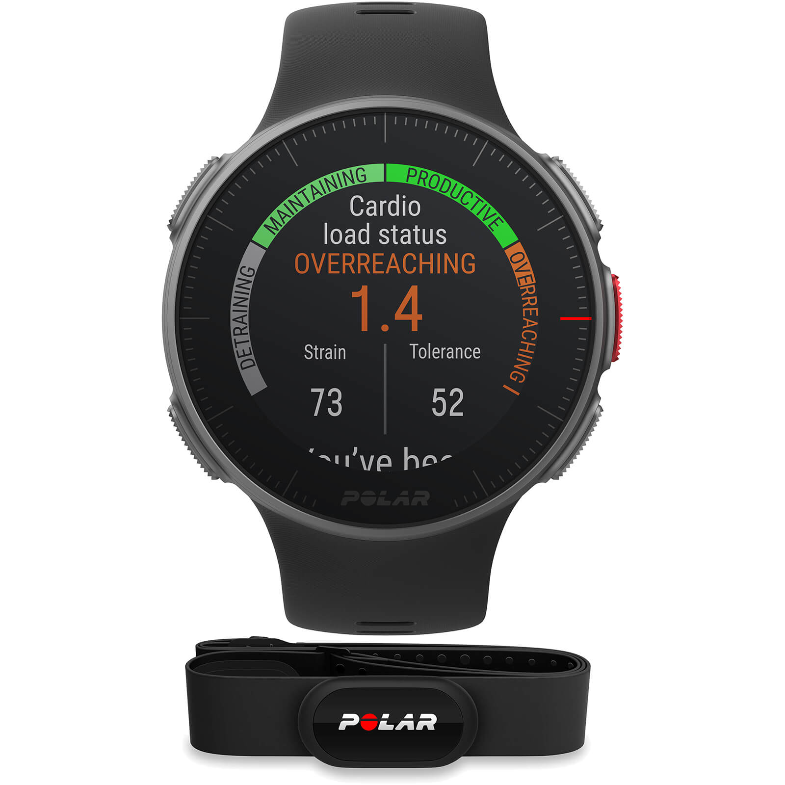 polar h10 with watch