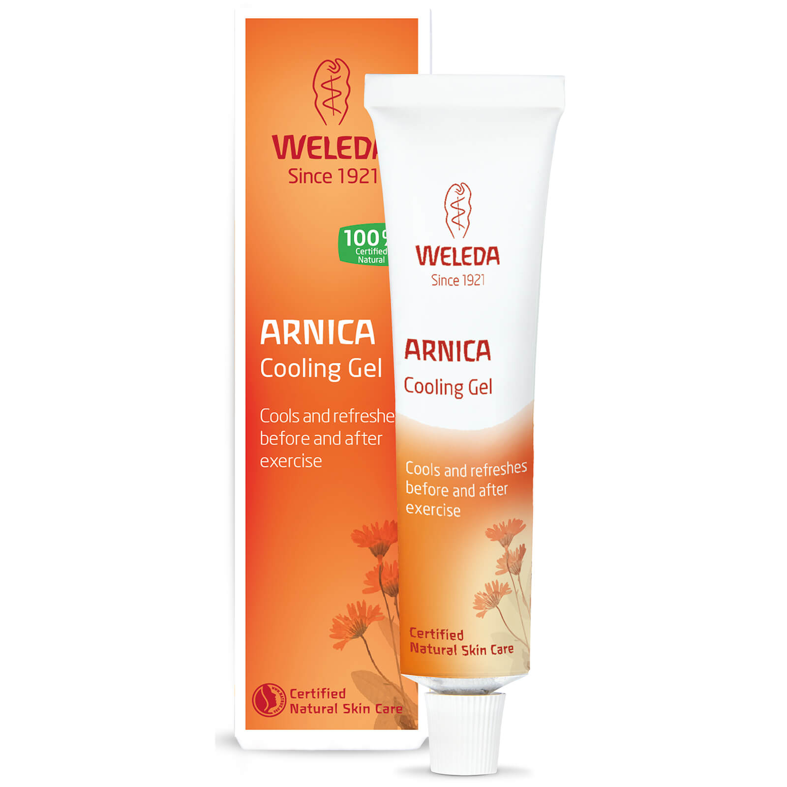 arnica skincare gel