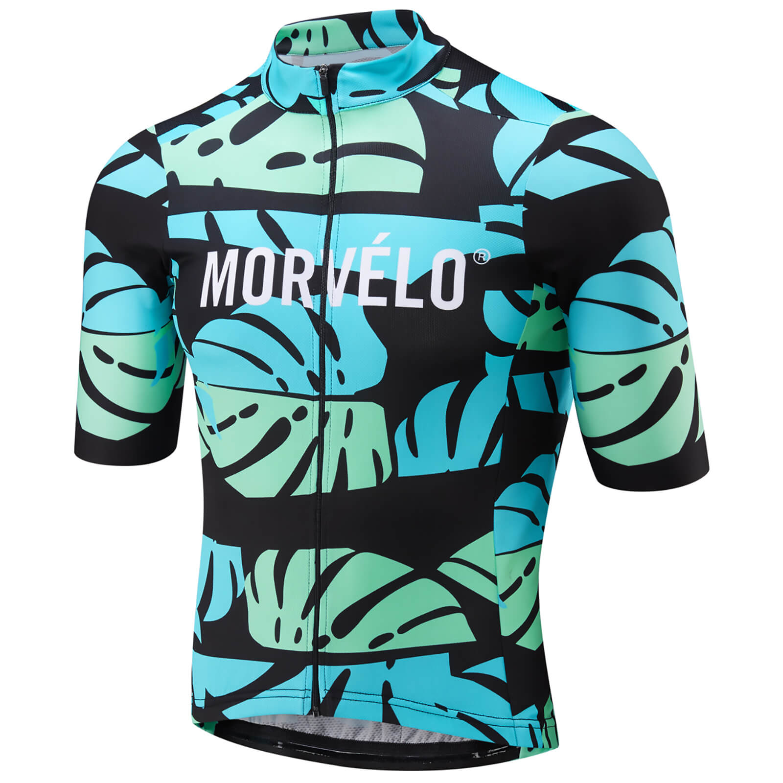 morvelo canada