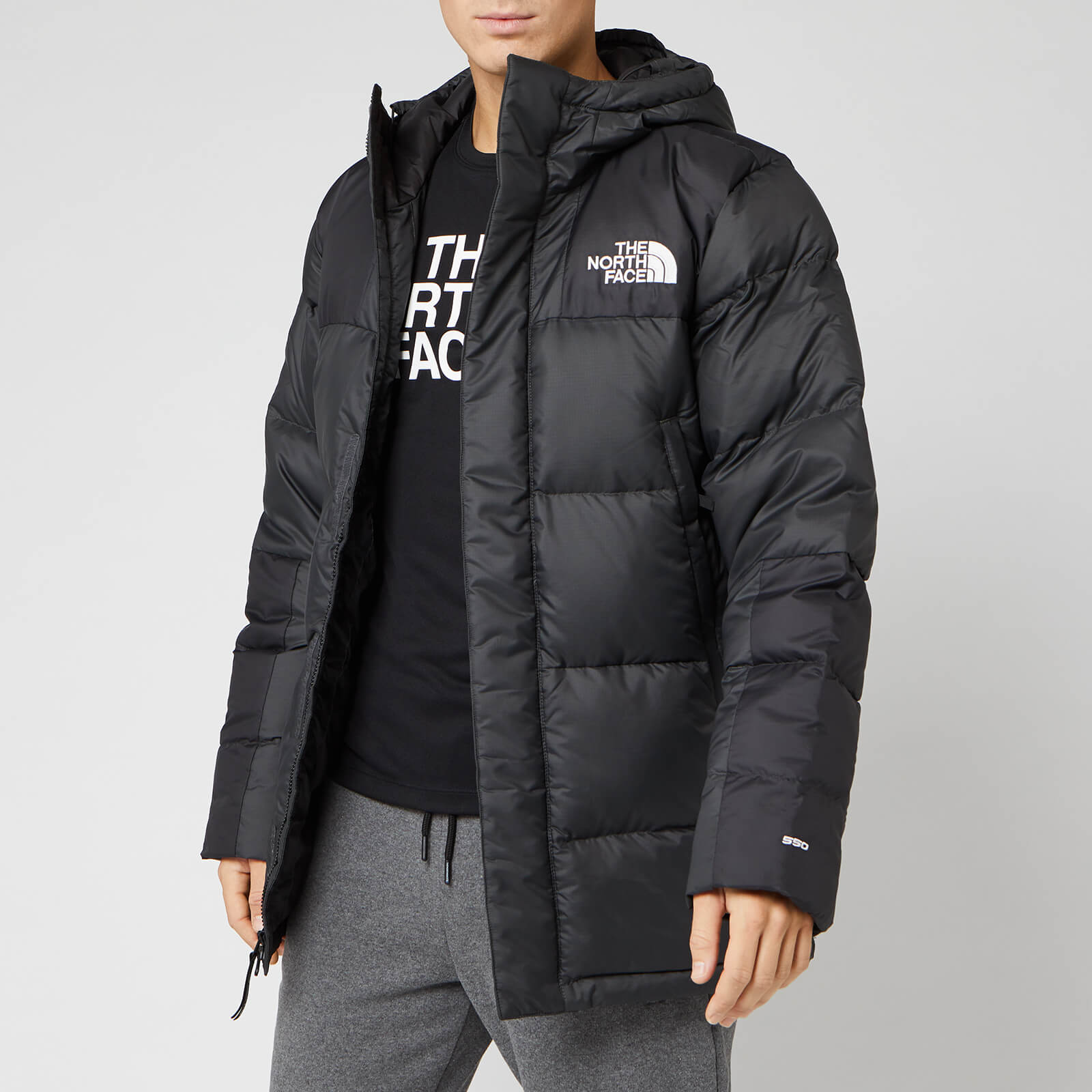 the north face men's down