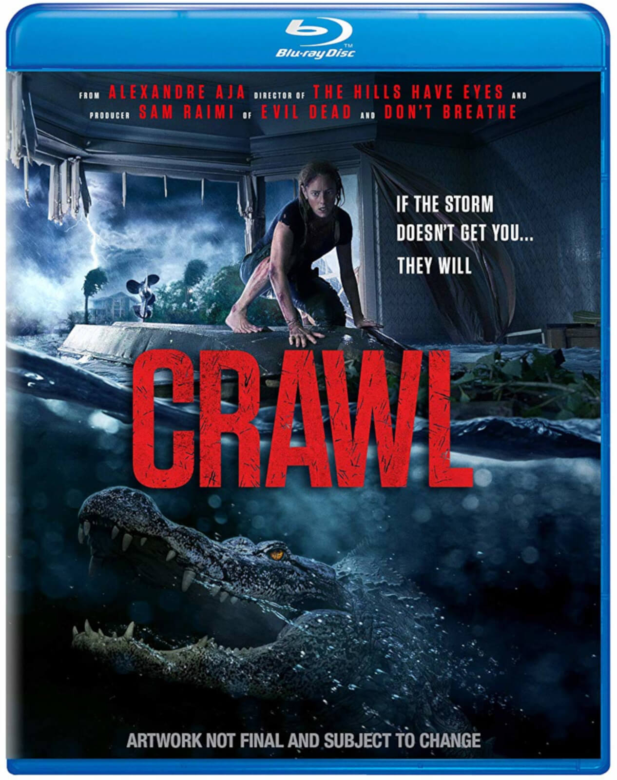 Crawl (2019) ORIGINAL Untouched iTunes DD5.1 CH 384Kbps AC3 Hindi Audio