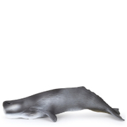 Papo Marine Life: Sperm Whale