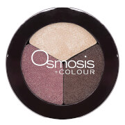 Osmosis Color Eye Shadow Trio - Spice Berry