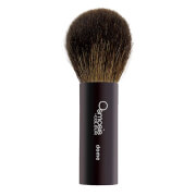 Osmosis Color Dome Powder Brush