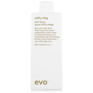 Evo Salty Dog Salt Spray 200ml