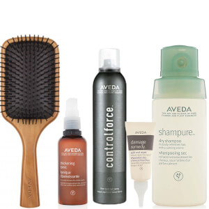Aveda Party Styling Kit