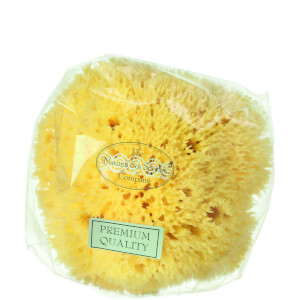 Esponja marina Honeycomb de Hydrea London, Talla 4 - 4,5