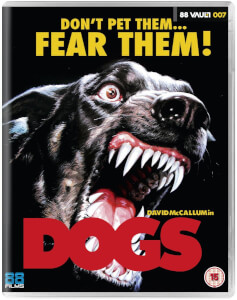 Dogs