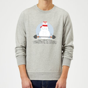 All I Want For Christmas Is Gains Sweatshirt - Grey
