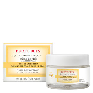 Burt's Bees Skin Nourishment Night Cream 51g