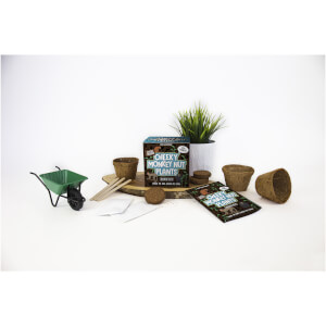 Sow & Grow Cheeky Monkey Nut Plants