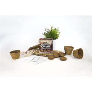 Grow Your Own Chocolate