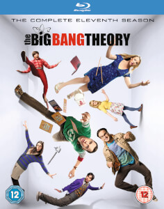 Big Bang Theory Season 11