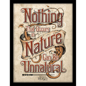 Fantastic Beasts (Nature) Framed 30 x 40cm Print