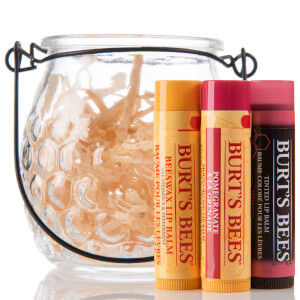 Burt's Bees Burt's Treat Pot
