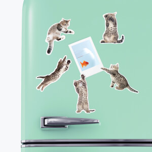 Action Cat Fridge Magnets