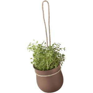 RIG-TIG Grow-It Herb Pot - Terracotta