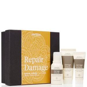 Aveda Repair Damage Travel Essentials