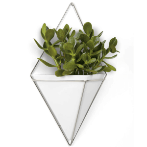 Umbra Trigg Wall Vessel - Large - White Nickel