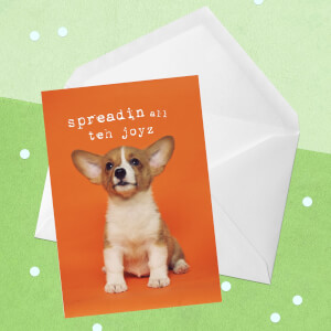 Spreadin All Teh Joyz Greetings Card