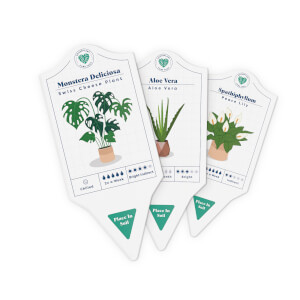 House Plant Care Tags