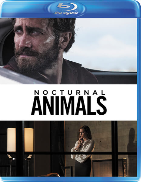 review nocturnal animals ending review nocturnal animals ending