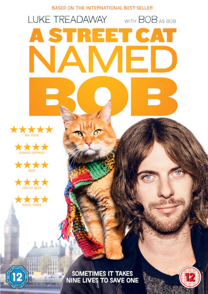 A Street Cat Named Bob DVD | Zavvi