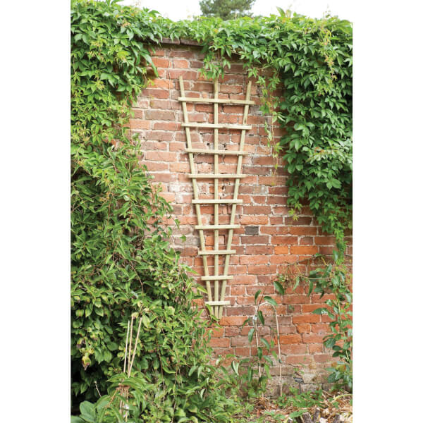 Traditional Fan Trellis 180 x 60cm Homebase