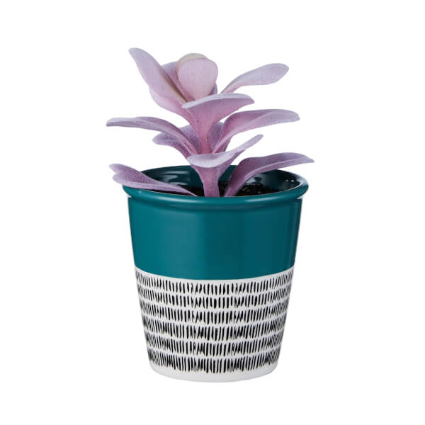 Small Plant in Dalmatian & Teal Pot Homebase