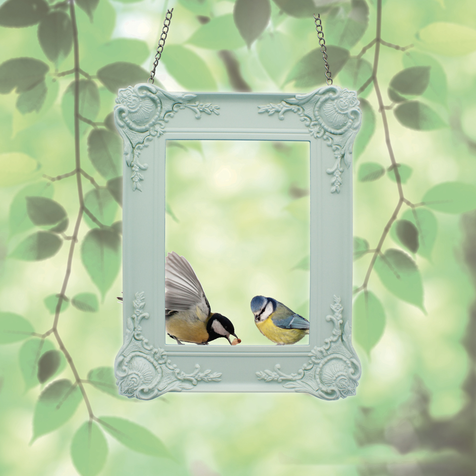 Picture Frame Bird Feeder Iwoot