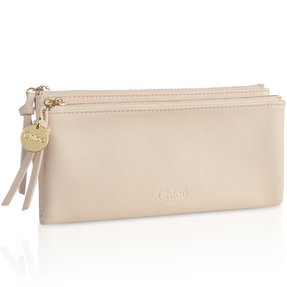 chloe pouch bag