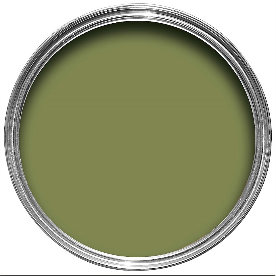 Farrow & Ball NHM Modern Emulsion Paint No. W56 Sap Green 2.5L Homebase