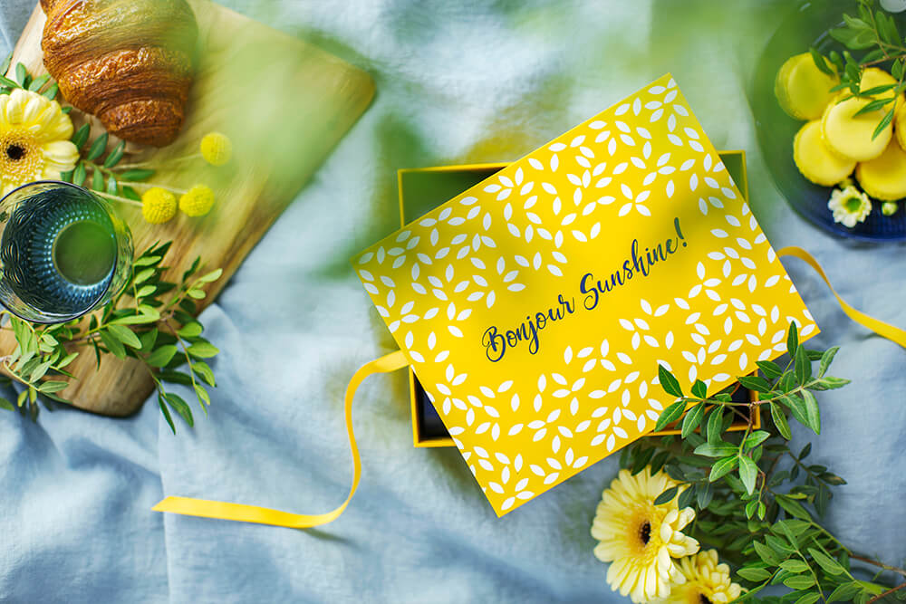 LIMITED EDITION BY L'OCCITANE