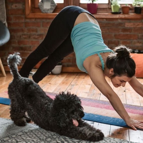 Garden of Life How to Keep Your Mind & Body Active at Home