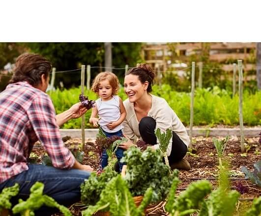 Notre engagement pour une alimentation bio de qualité