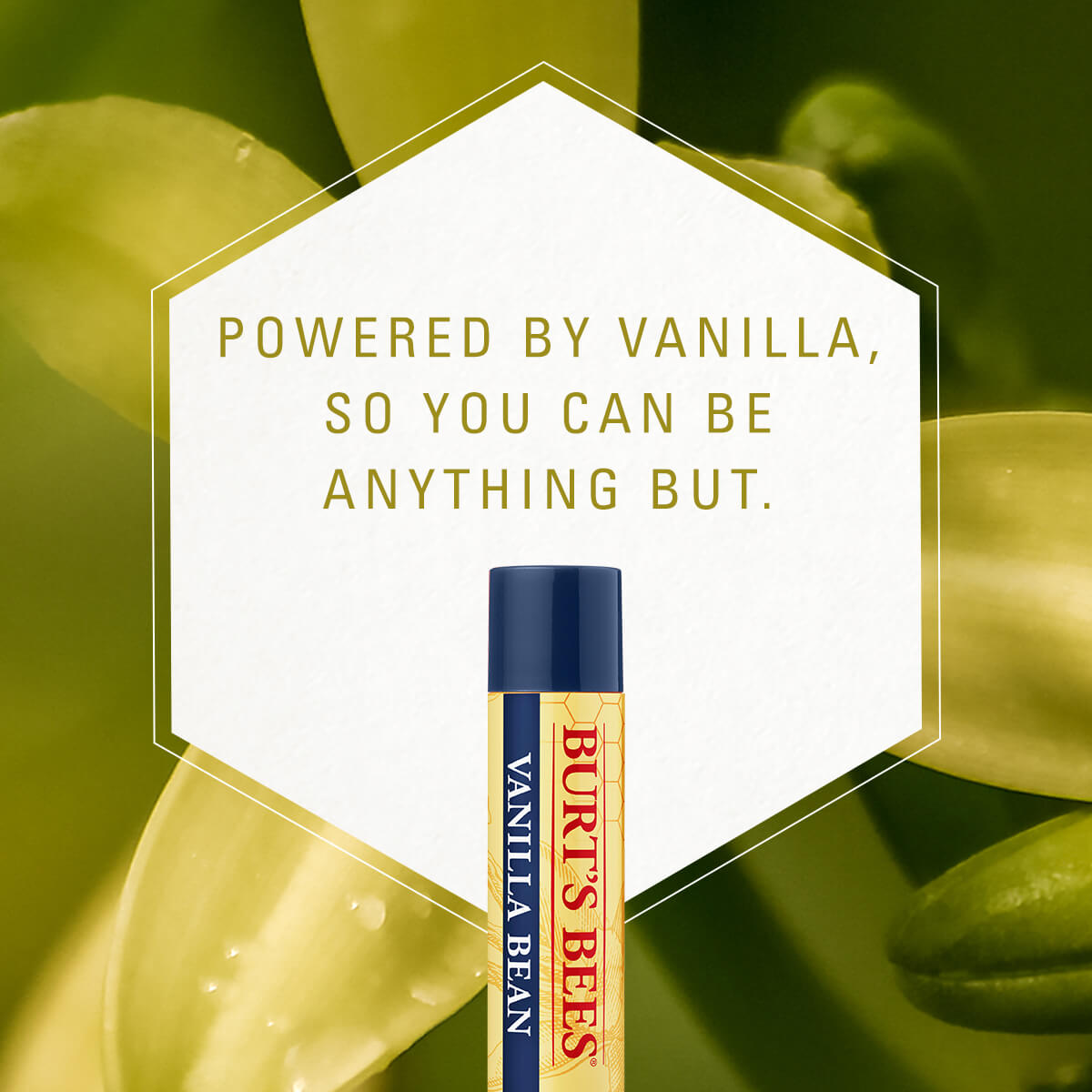 powered by vanilla, so you can be anything but,