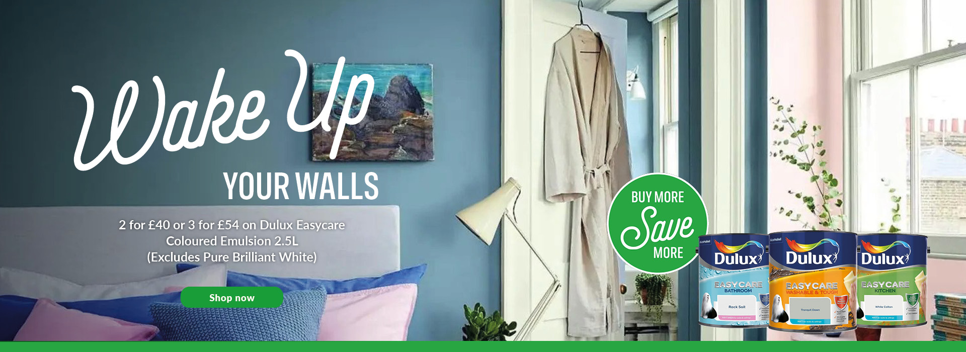 Our Collection of Paint All Colours Homebase