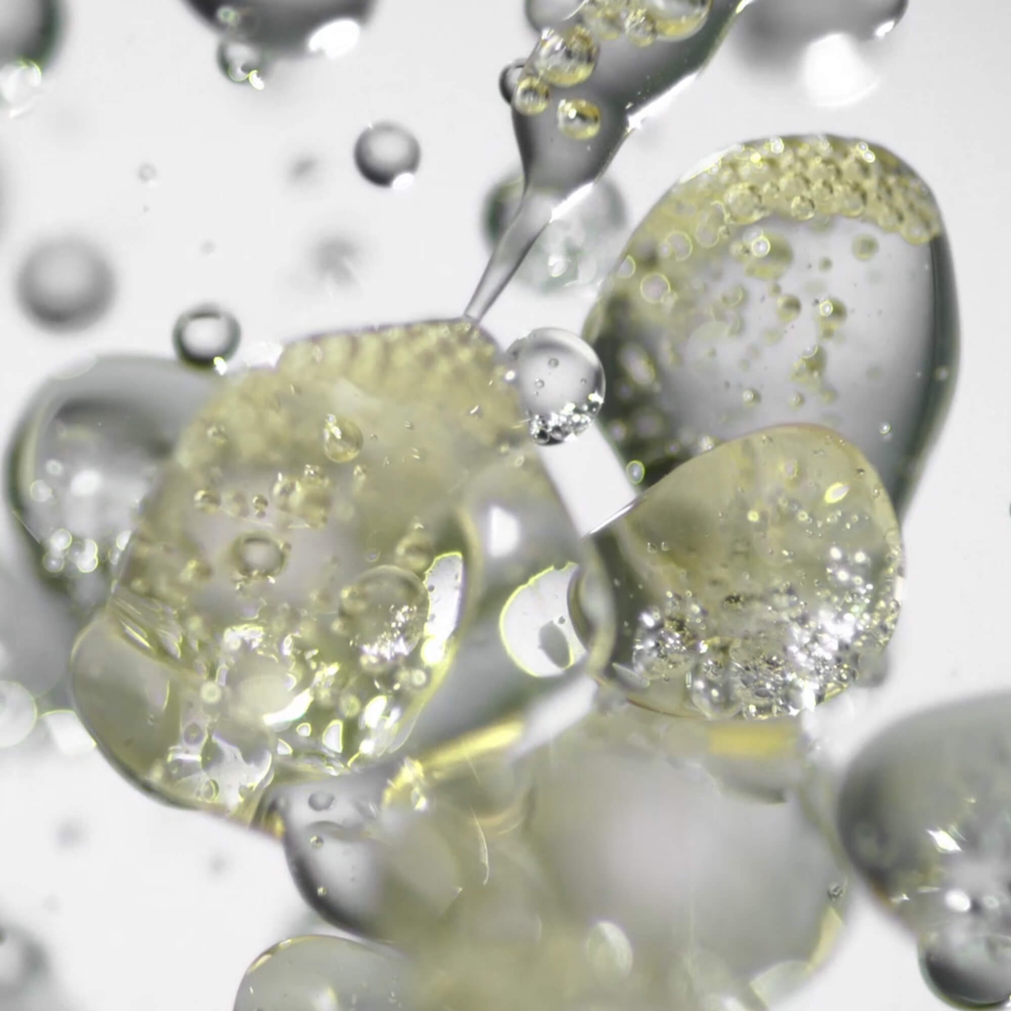 Micro Algae