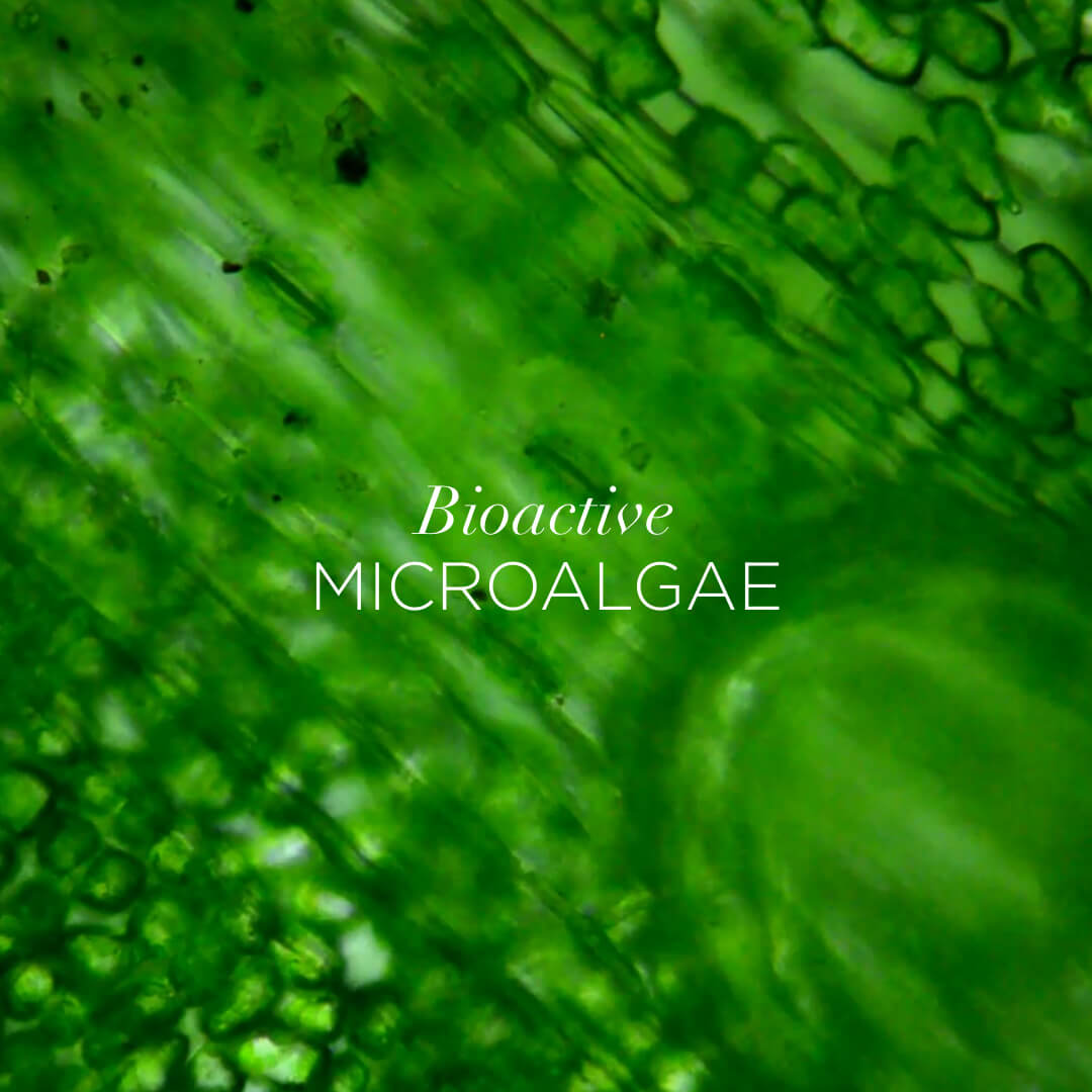 Bioactive Microalgae - A bioactive that shields skin from the damaging effects of cortisol, which compromises the integrity of skin cells. Helping to restore the Circadian rhythm, it increases skin’s ability to metabolise retinal & Healing Concentrate™ and repair itself.
