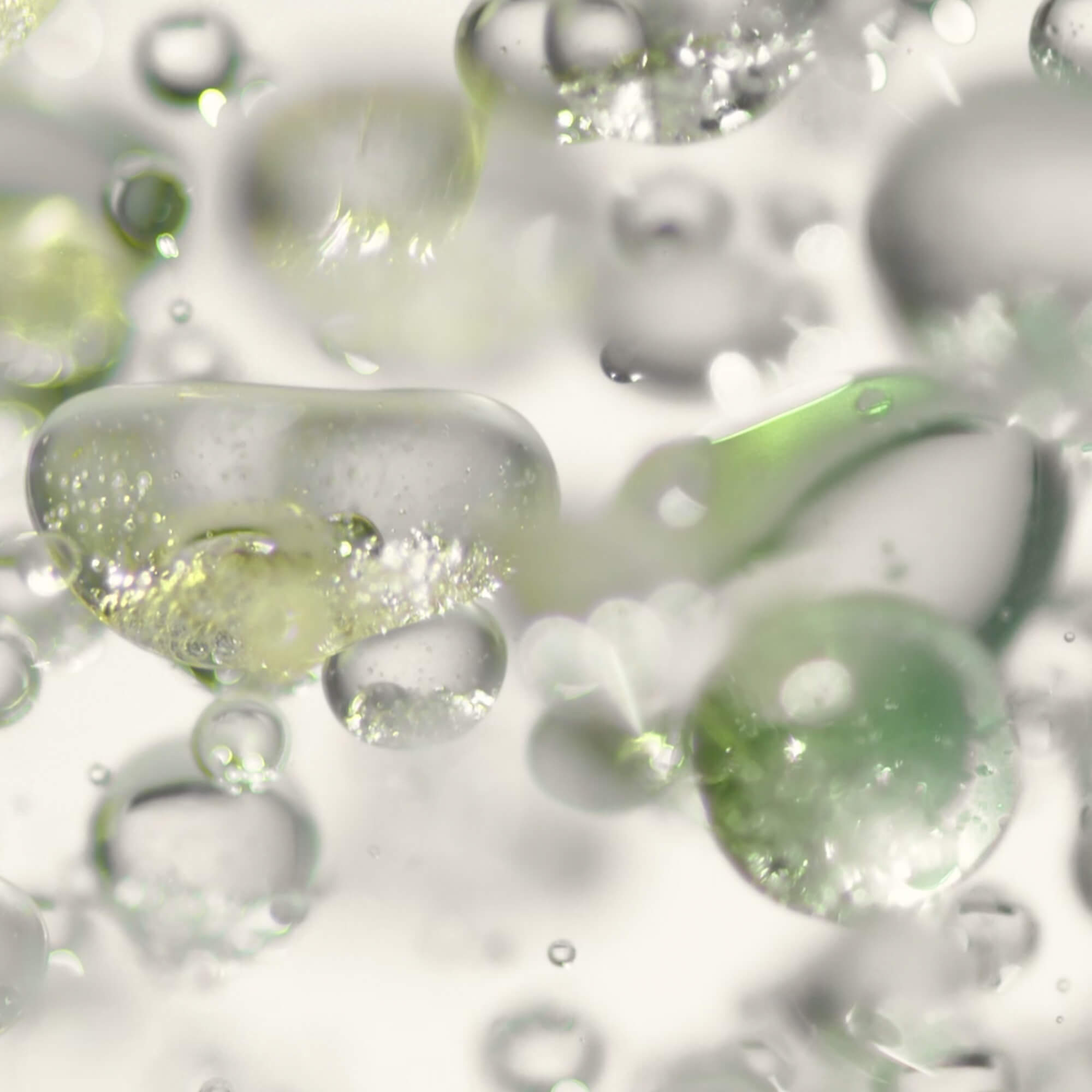 Micro Algae