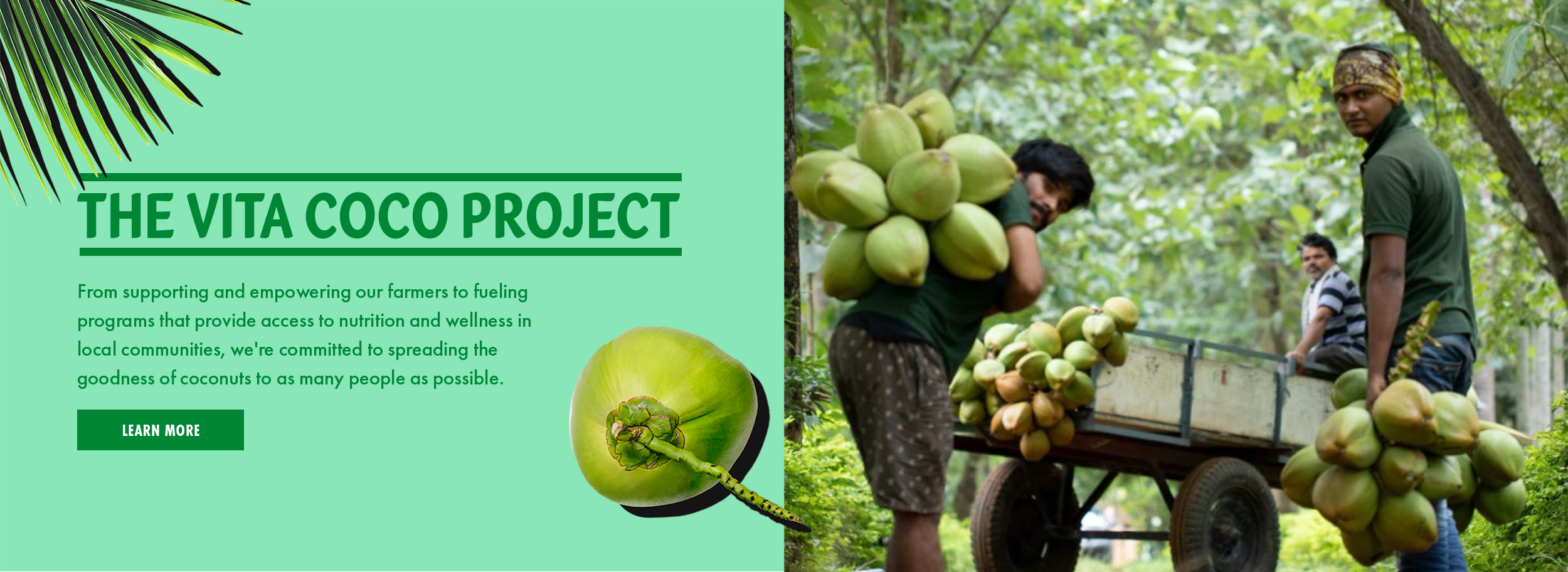 The vita coco project - from supporting and empowering our farmers to fueling programs that provide access to nutrition and wellness in local communities, we're committed to spreading the goodness of coconuts to as many people as possible. LEARN MORE