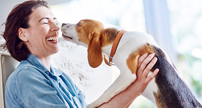Purina Pro Plan-Veterinärdiäten: seit 1986 ein innovatives, medizinisch wirksames Sortiment für Hunde und Katzen